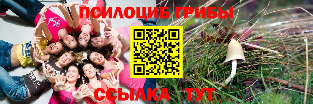 Галлюциногенные грибы Psilocybe  Вход с VPN  Чита  Псилоцибиновые грибы ЛСД 